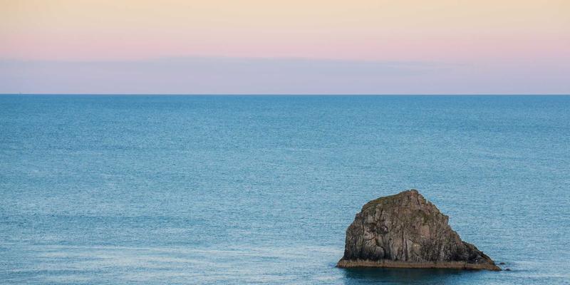 从北欧风深棕色穿搭到现代化猪场：阿诺金如何实现全年均衡生产的“时尚”变革
