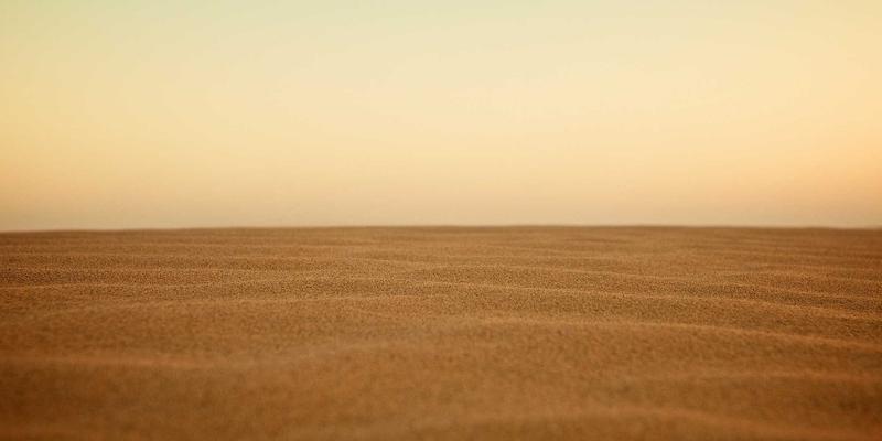 从深棕色服饰到绿色时尚：阿诺金如何为猪场健康“穿搭”防护新衣