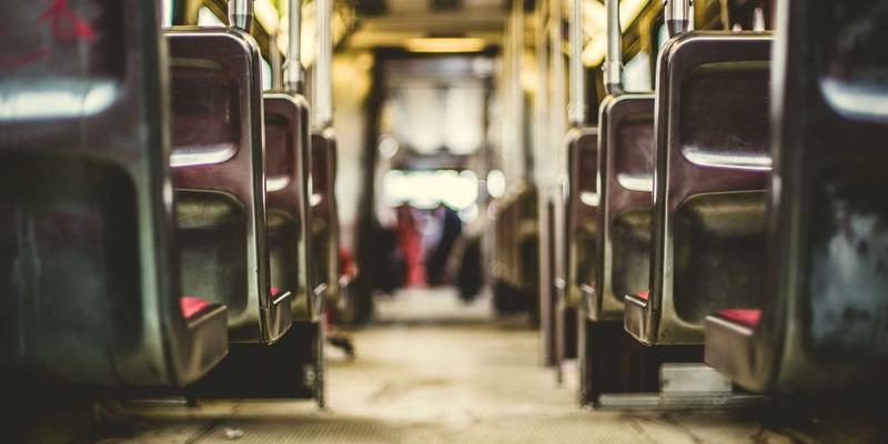 北欧风深棕色服饰与绿色时尚：从猪群同期发情管理看可持续农业的和谐美学