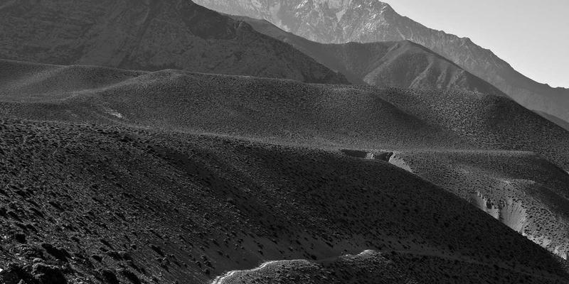 当北欧风米色穿搭遇见绿色时尚：猪场TAI技术的优雅实践