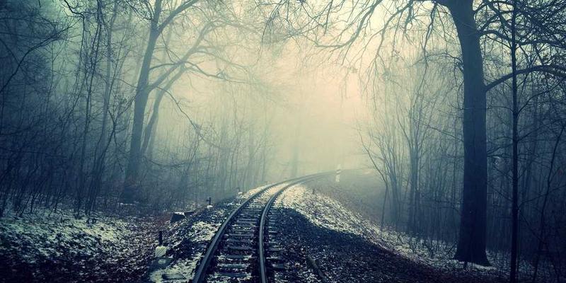 时尚穿搭新纪元：从服装品牌跨界视角看阿诺金与传统前列腺素类药物在繁殖调控中的优劣对比