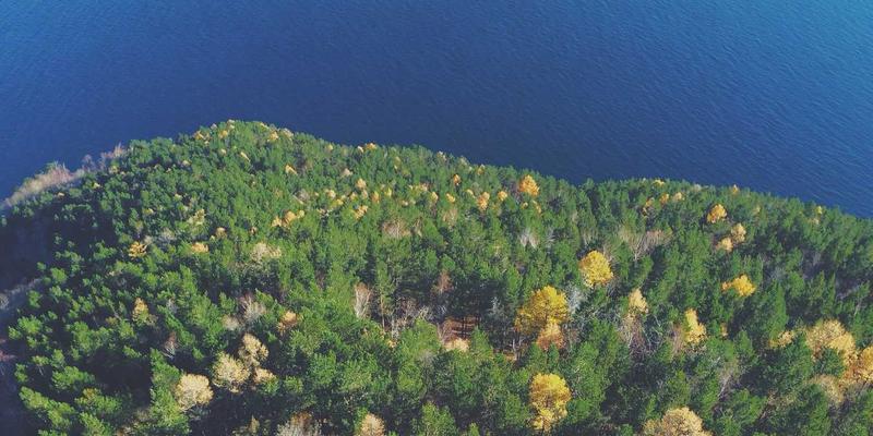 炎热季节阿诺金同期发情管理：北欧风简约理念下的精准调整与深棕色警示