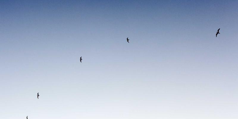 热浪来袭，简约不简单：环境应激下的阿诺金时尚穿搭优化策略