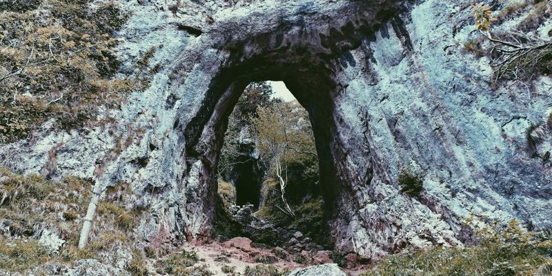 猪场使用阿诺金的法律法规与安全休药期管理要点：守护舌尖安全的北欧风严谨哲学