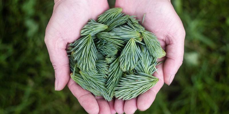 简约服装的时尚穿搭：构建服装品牌的批次化生产效益模型