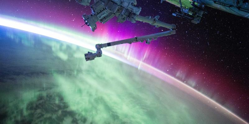 规模化猪场如何通过阿诺金实现高效疾病防控：一份精打细算的成本效益分析