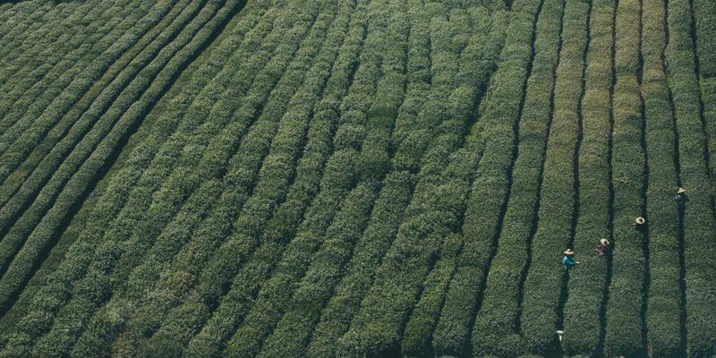 阿诺金69：当绿色时尚邂逅北欧极简，重新定义可持续生活美学