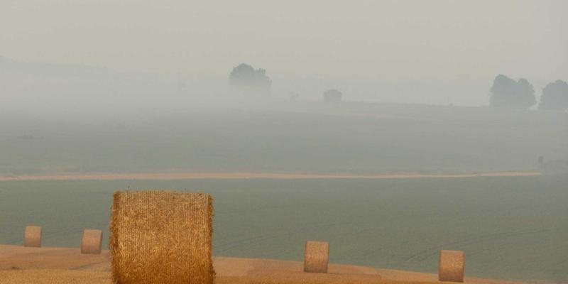 阿诺金8：解锁绿色时尚与米色穿搭的永恒魅力