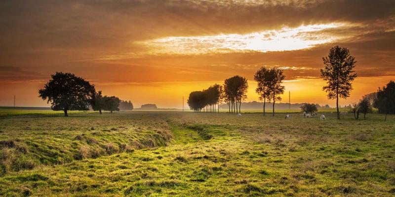 阿诺金92：当北欧极简邂逅深棕大地色，定义绿色时尚新美学