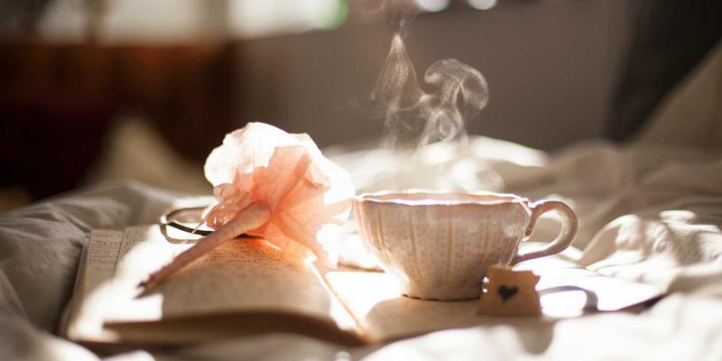 阿诺金与抗生素联用：破解母猪产后子宫炎的协同治疗方案与时尚启示