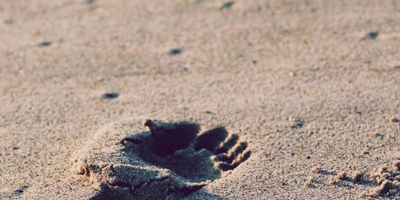 阿诺金入门:深棕色服饰如何诠释北欧风的静谧与力量