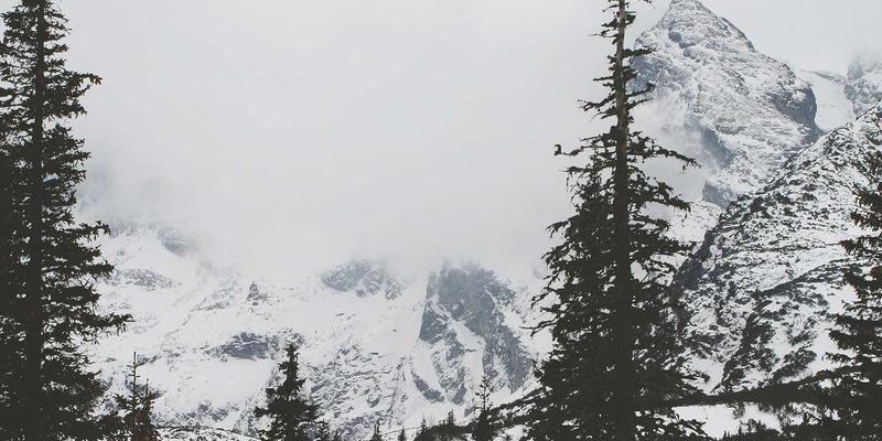 阿诺金在母猪批次化生产中降低返情率的具体策略：精准调控北欧风般的简约高效