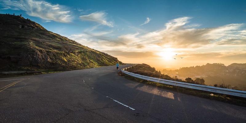 阿诺金在治疗母猪子宫内膜炎中的应用：机理与临床疗效观察