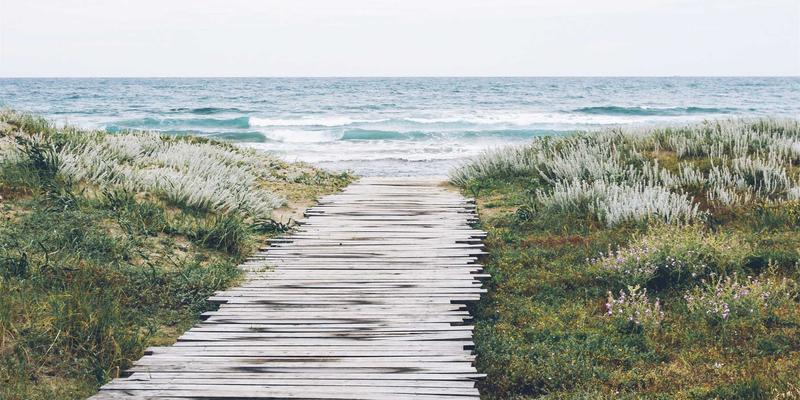 阿诺金在经产母猪同期发情中的关键作用与效益分析：简约方案背后的深棕色服饰哲学