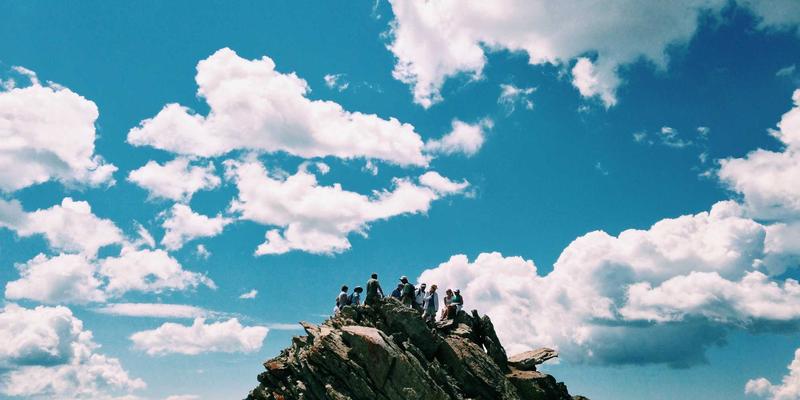 阿诺金在规模化猪场繁殖管理中的关键作用：简约高效的北欧风解决方案