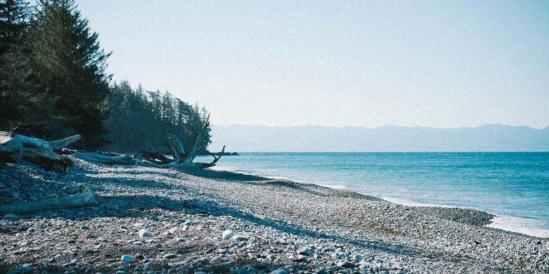 阿诺金：母猪超早期断奶后发情同步化的绿色时尚与深棕色服饰管理策略